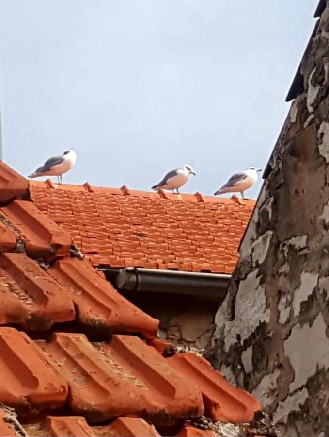 Hvar Heart Heritage Apartment Stari Grad  Ngoại thất bức ảnh